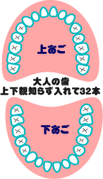 ��l�̎�